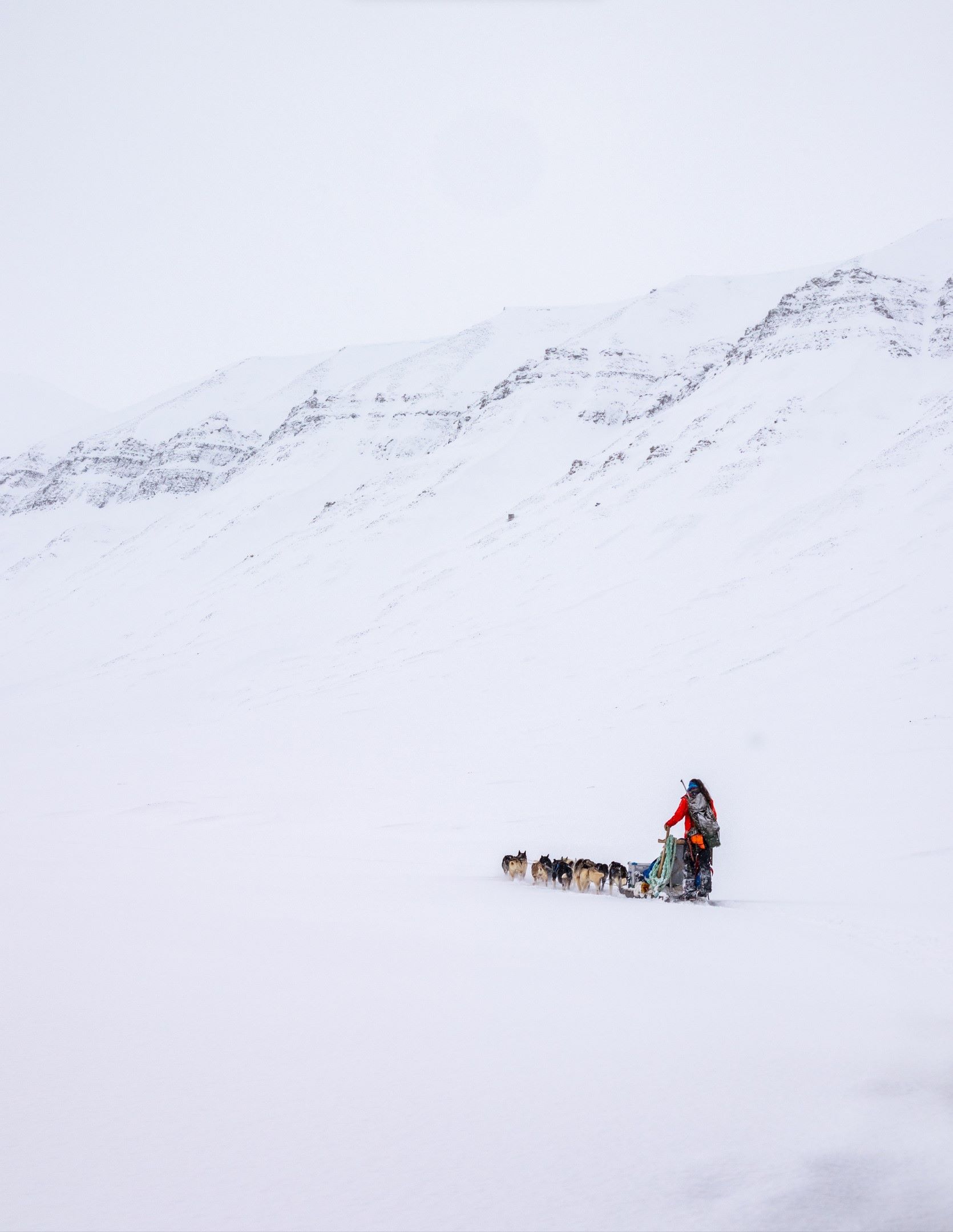 Dog sledding, Svalbard