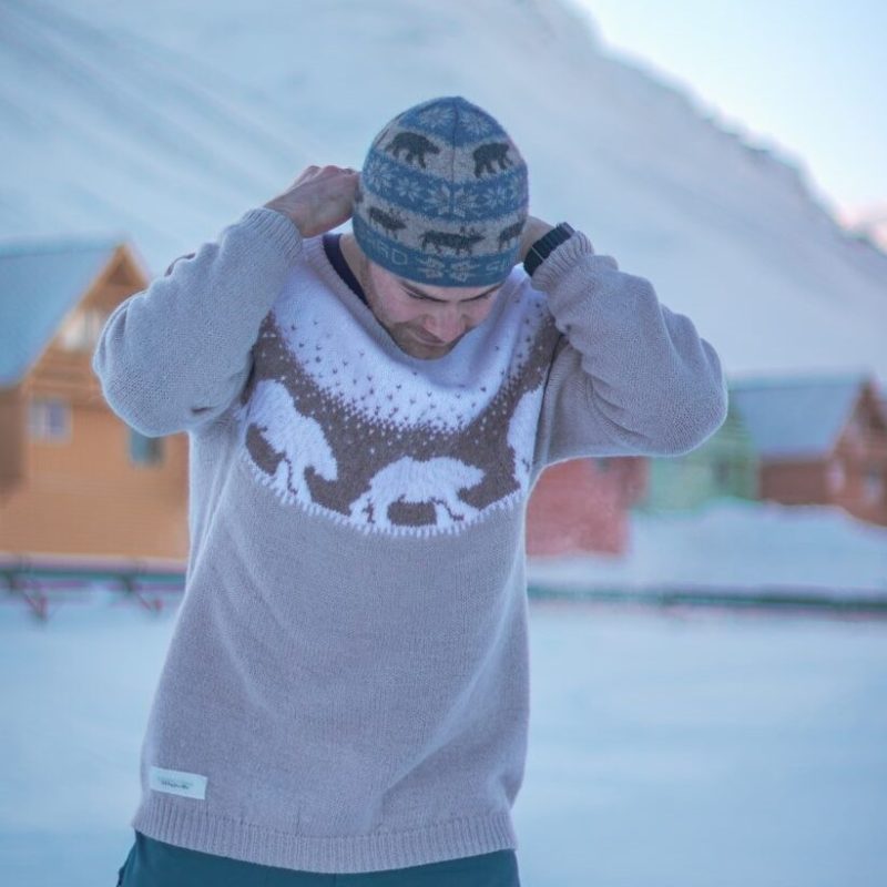 Polar bear / Svalbard reindeer sweater